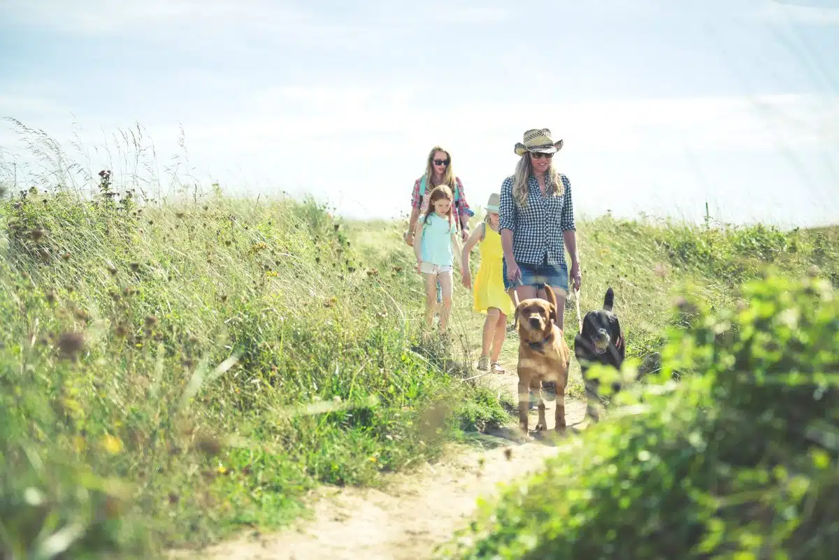 Country life near Padstow in Cornwall