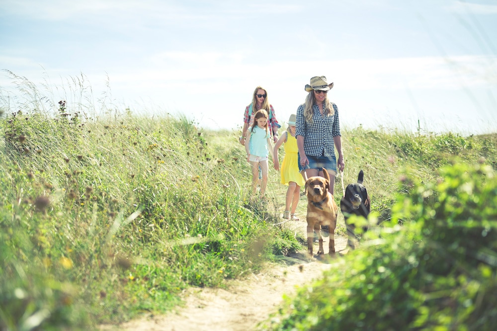 Entspannen Sie sich und genießen Sie einen Urlaub in Padstow Cornwall