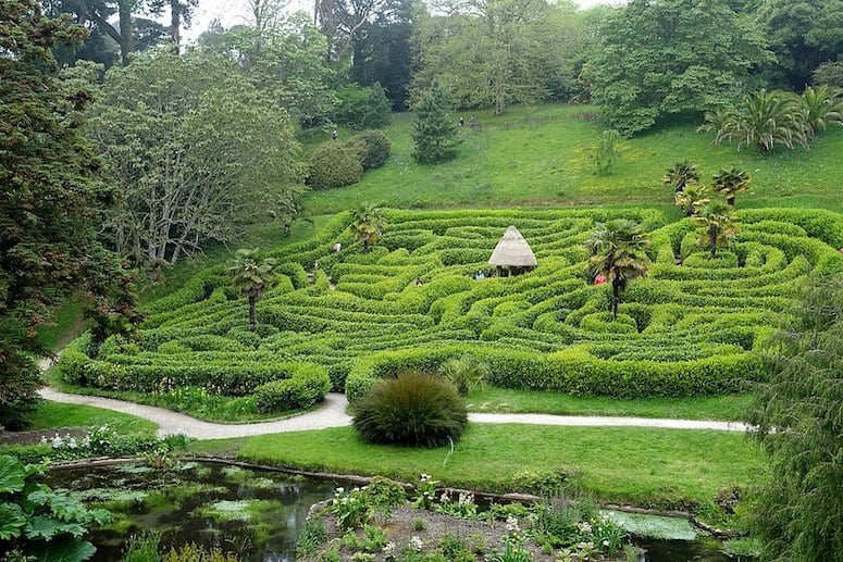 The Maze at Glendurgan Garden in Cornwall
