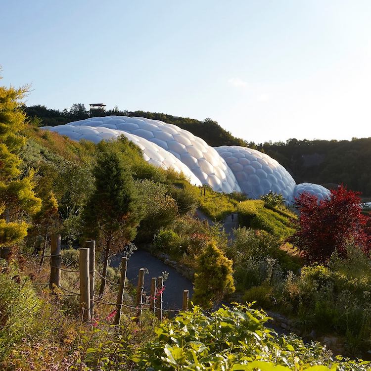 eden project cornwall