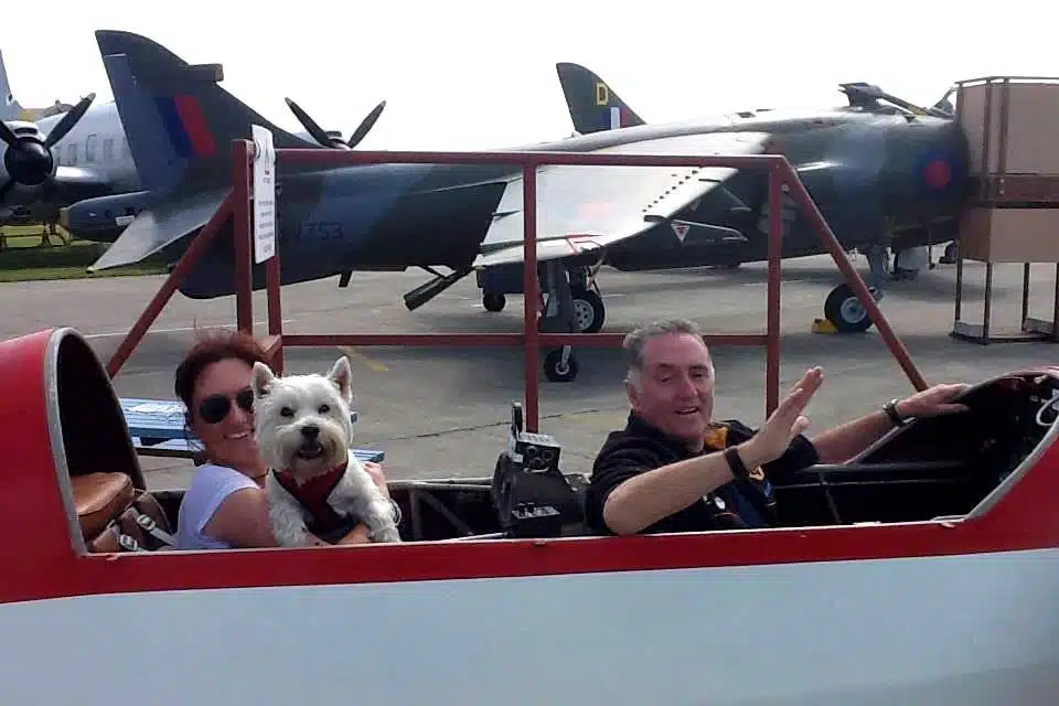 Dog in plane at Cornwall Aviation Heritage Centre