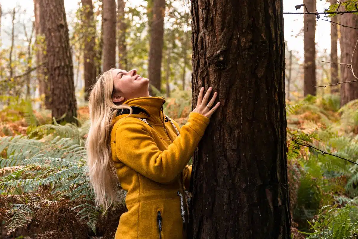 Hug a tree - wellbeing activity Forest bathing in Cornwall