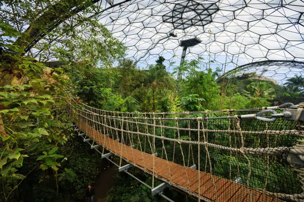 rope bridge at tropical biome in Eden Project