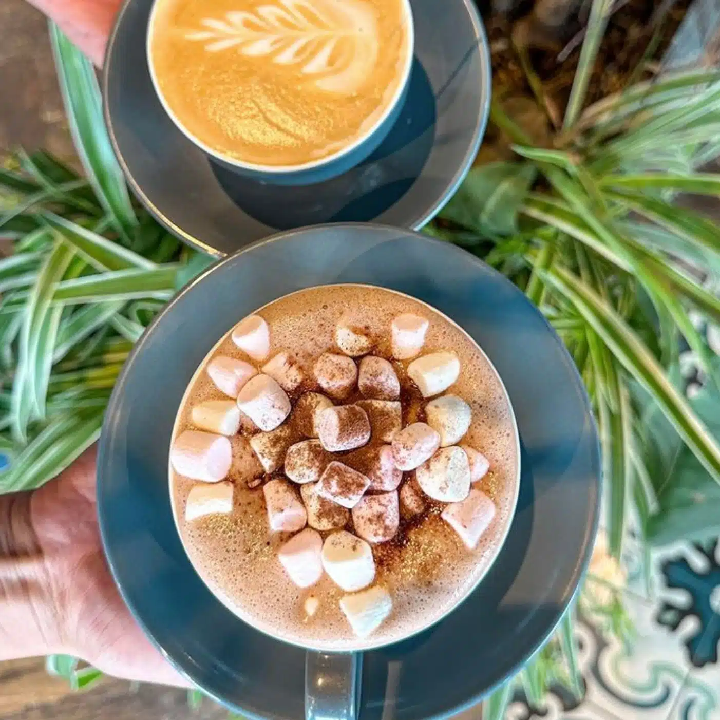 Hot Chocolate at Greens Of Padstow