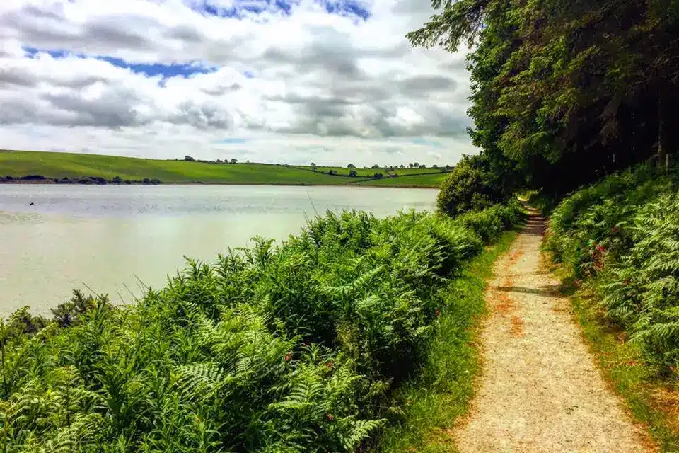 Siblyback Lake in Cornwall