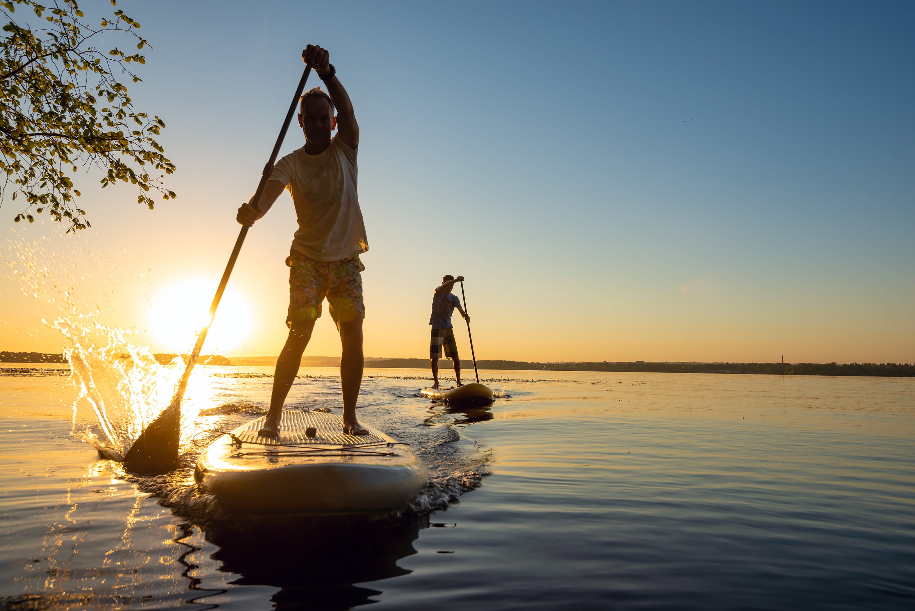 Men, friends sail on a SUP boards in a rays of rising sun