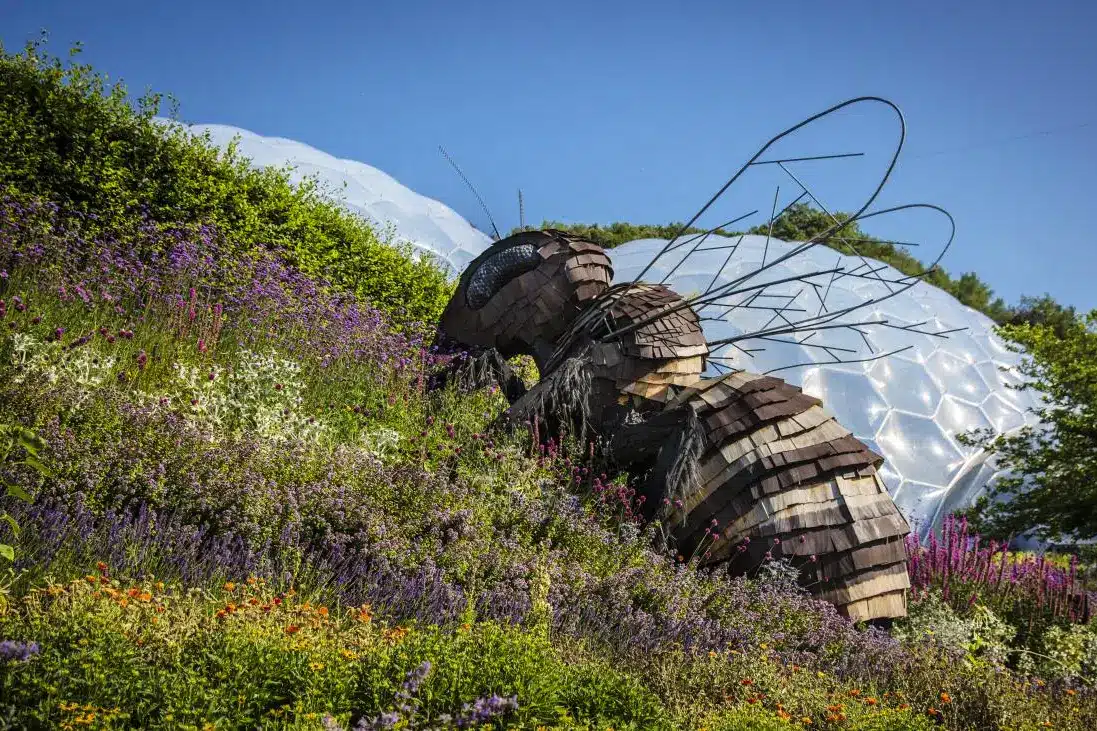 Eden Project outdoor gardens and giant bee sculpture
