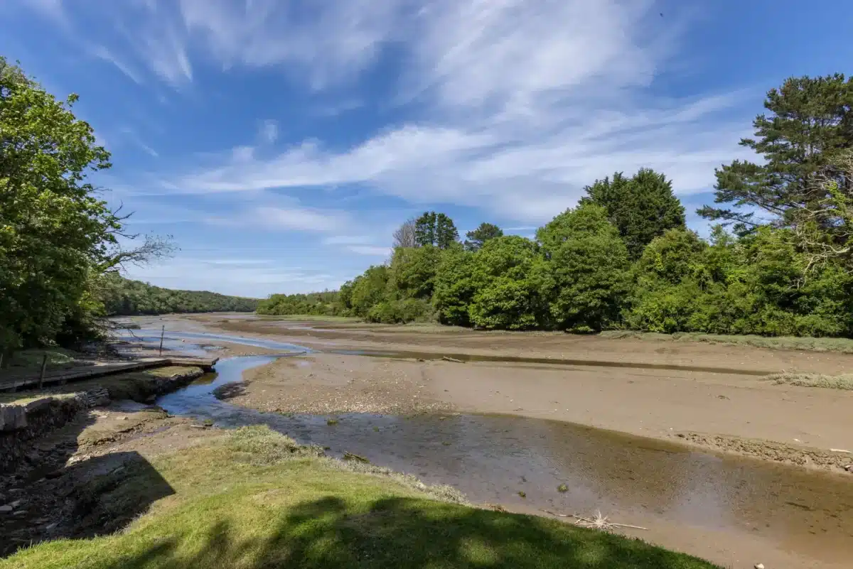 Petherick The Local's Guide to St Issey & Little Petherick | Harbour Holidays