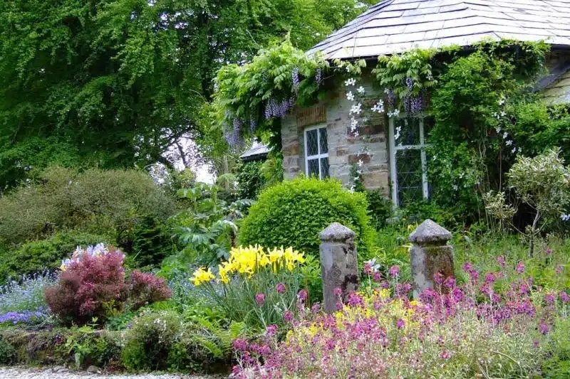 Pinsla Garden in Cornwall
