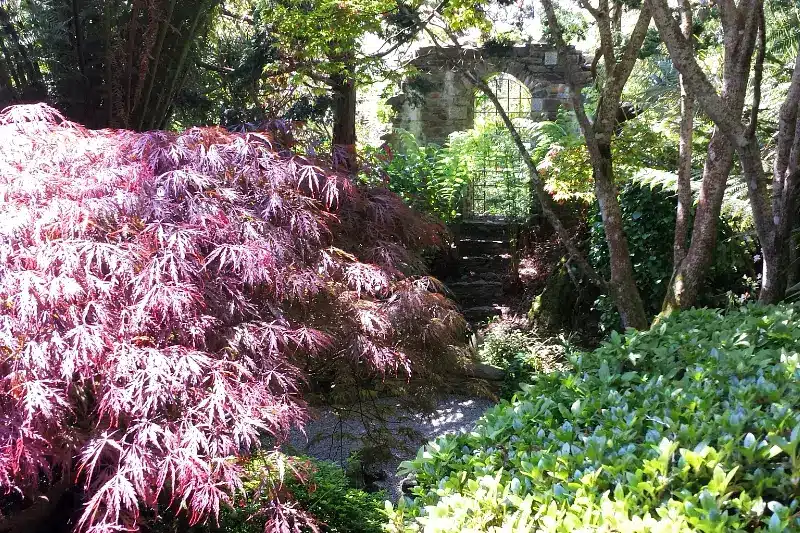 Seasonal display at Lamorran Gardens in Cornwall