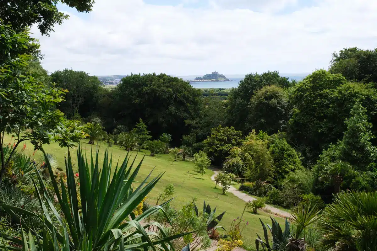 View of St Michaels Mount from Tremenheere Gardens by Elliot Walker